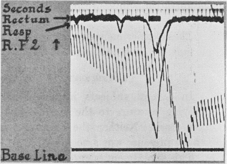 Fig. 13