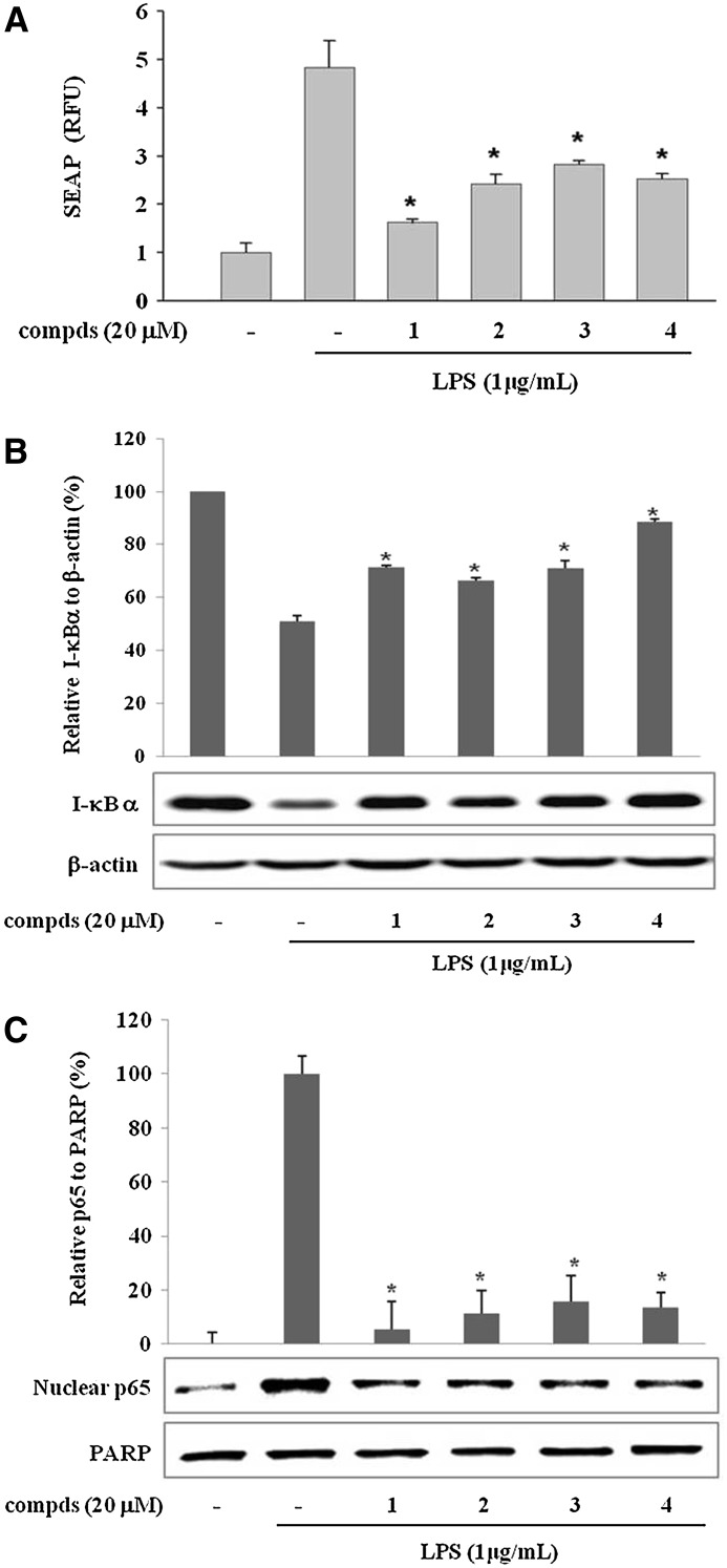 FIG. 4.