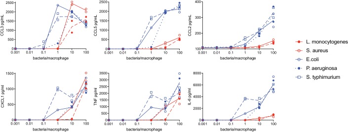 Figure 3—figure supplement 1.