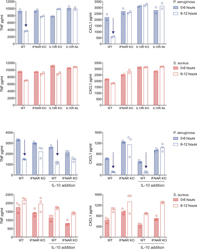 Figure 6—figure supplement 3.