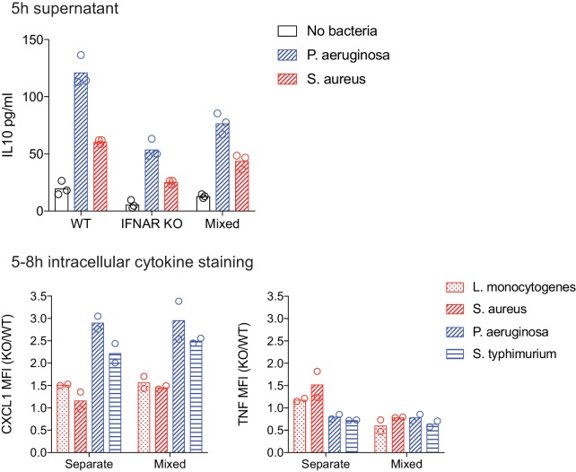 Figure 6—figure supplement 4.