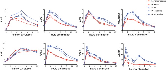 Figure 3—figure supplement 2.