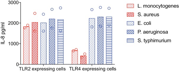 Figure 1—figure supplement 1.