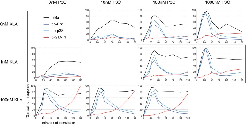 Figure 6—figure supplement 1.