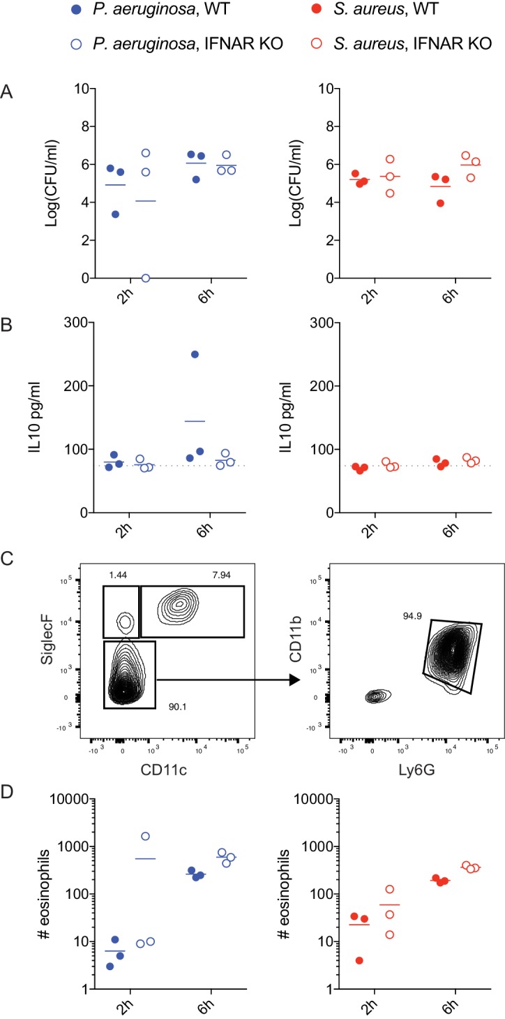 Figure 7—figure supplement 1.