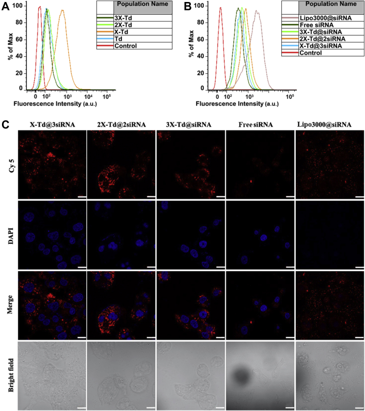 Figure 2