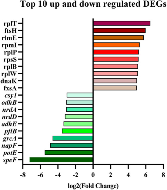 Figure 6