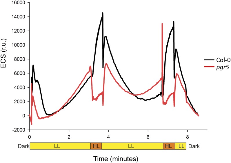 Figure 7.