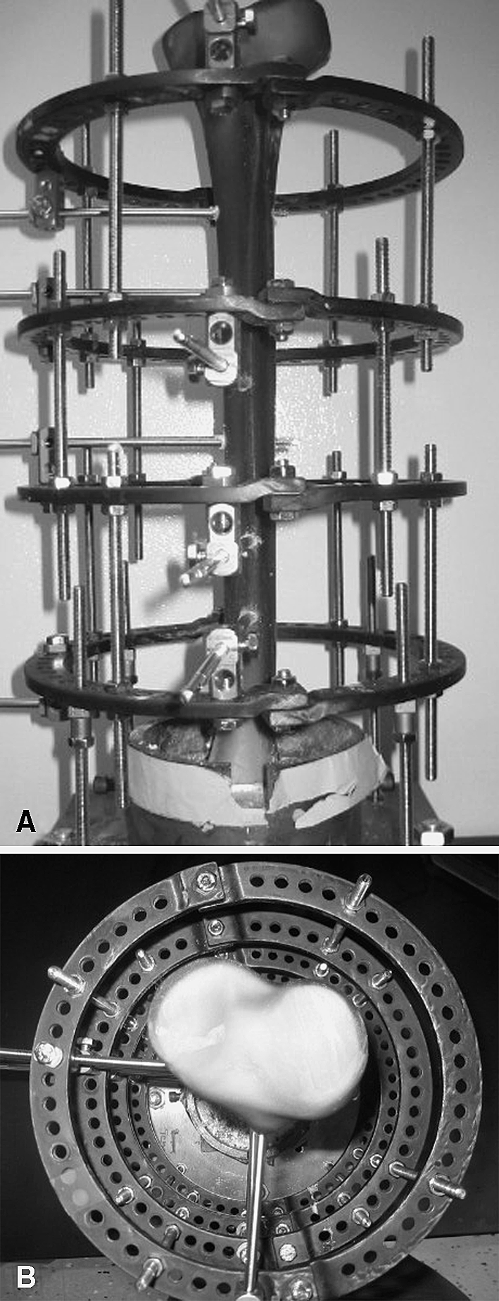 Fig. 3A–B