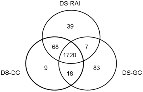 Figure 8