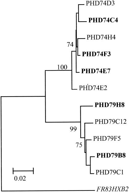 FIG. 7.