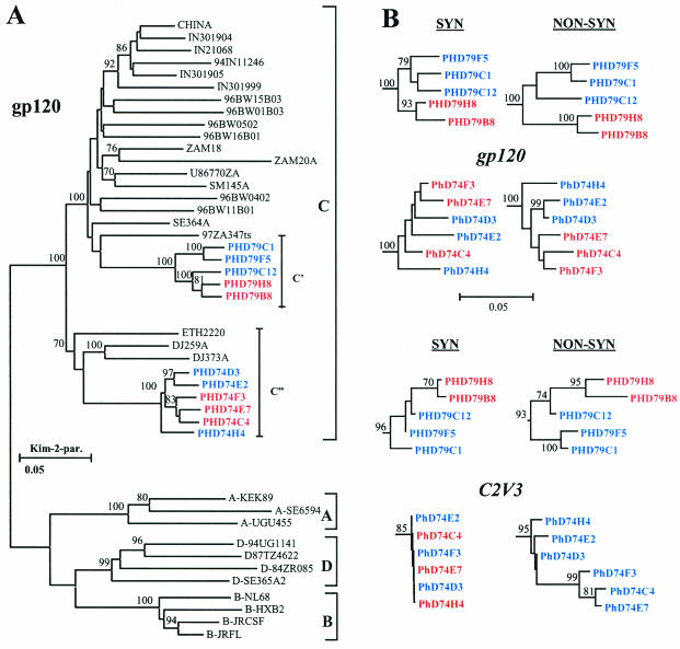 FIG. 6.