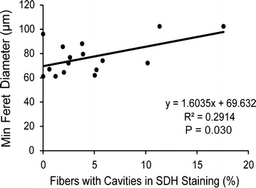 Fig. 7