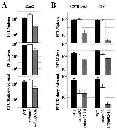 FIG. 6.