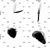 FIG. 8.