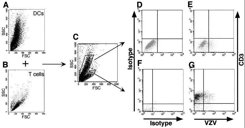 FIG. 6