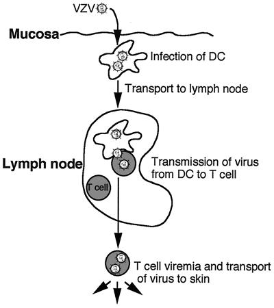 FIG. 8