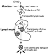 FIG. 8