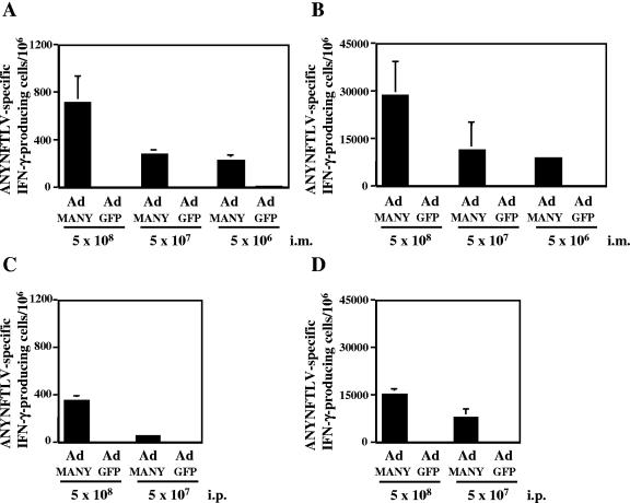 FIG. 2.