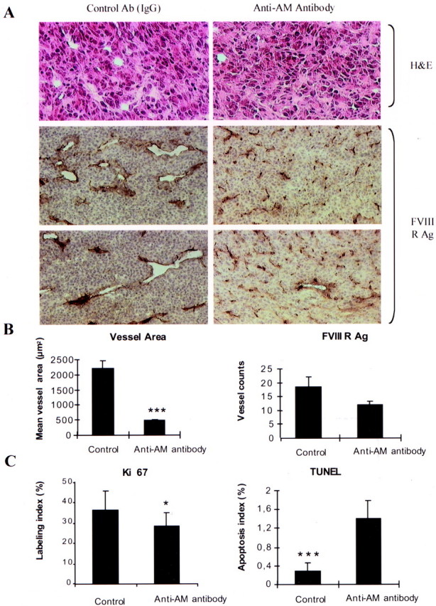 Figure 10.