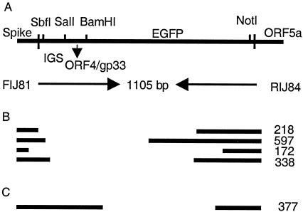 FIG. 7.