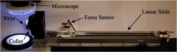 Fig. 10