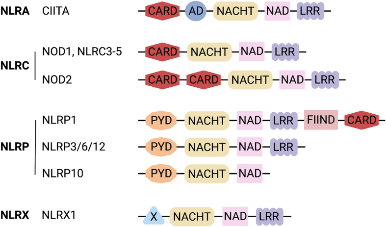 Fig. 1