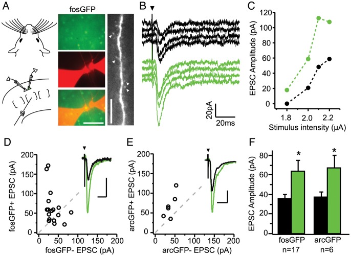 Figure 1.