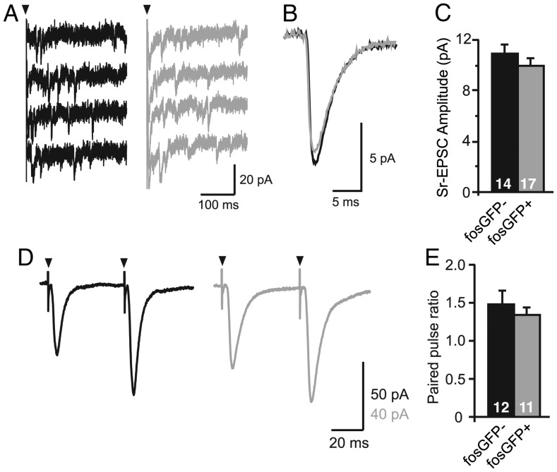 Figure 2.