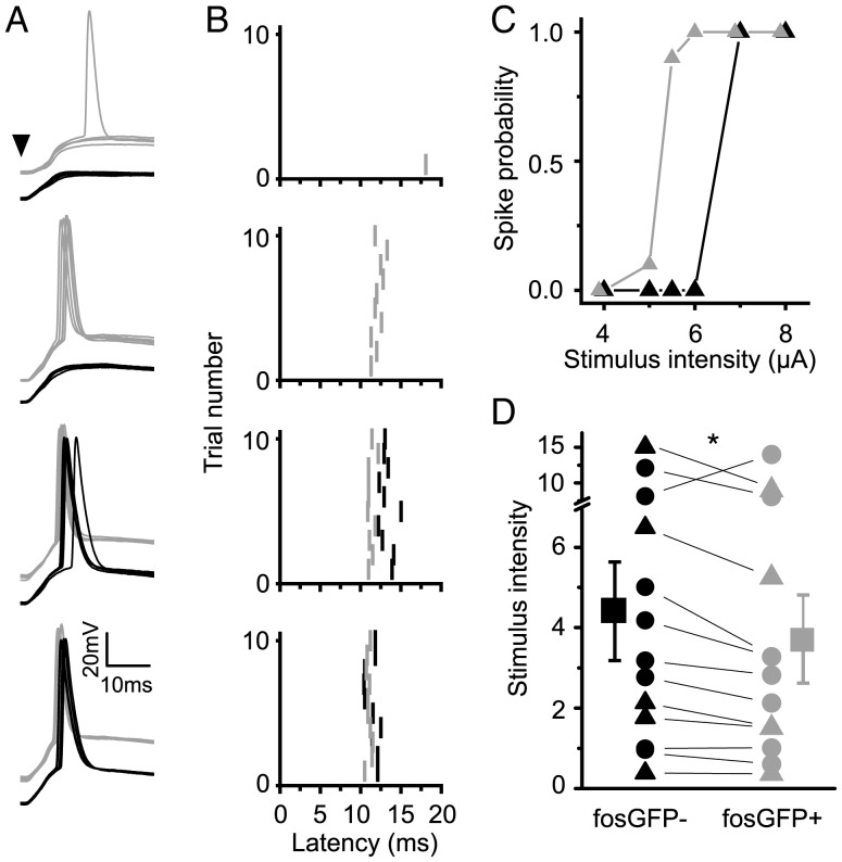 Figure 5.