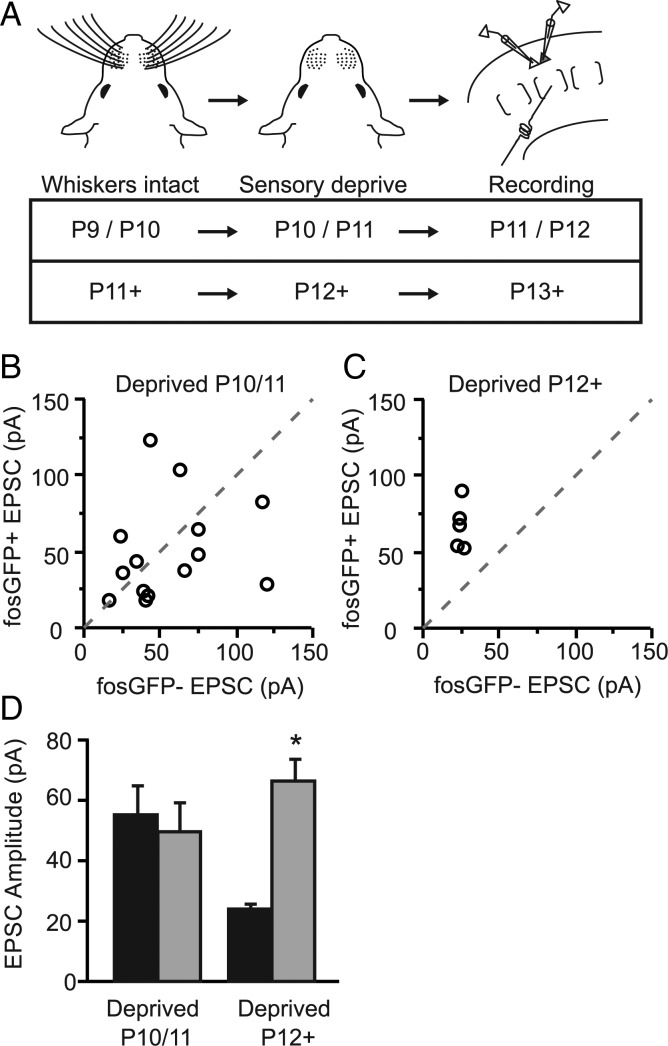 Figure 4.