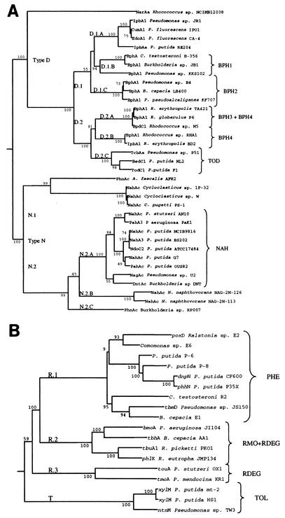 FIG. 1.