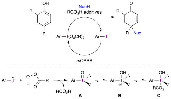 Scheme 4