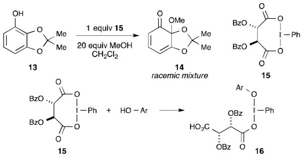 Scheme 5