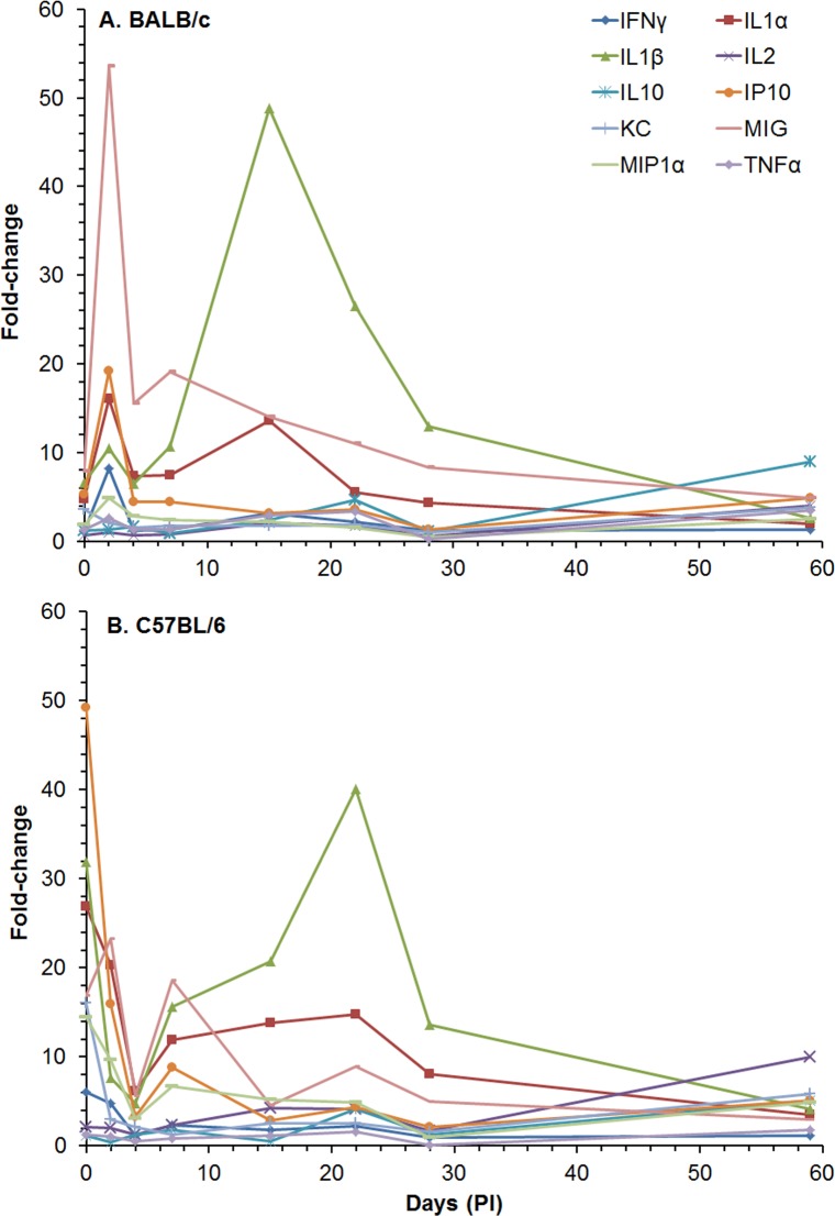 Fig 6