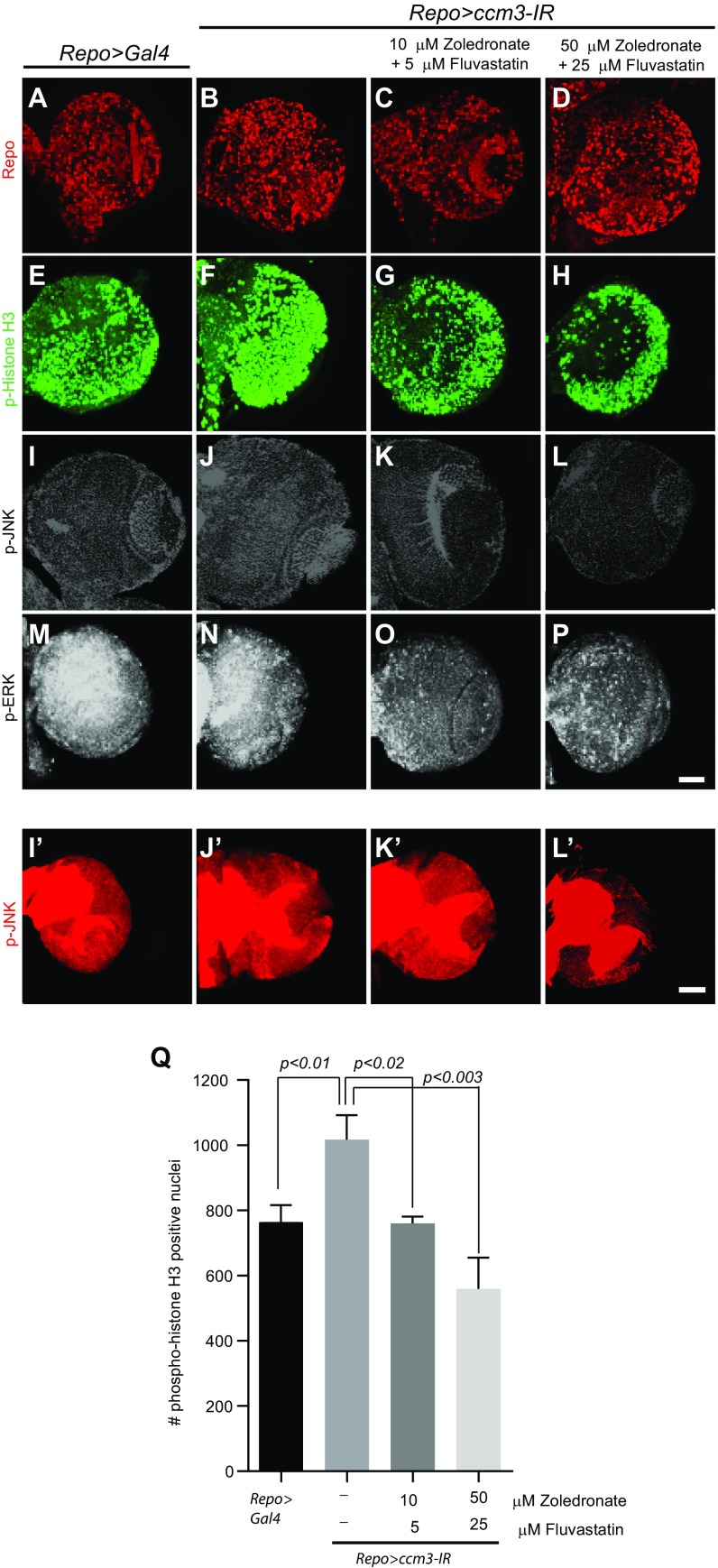 Fig. S6.