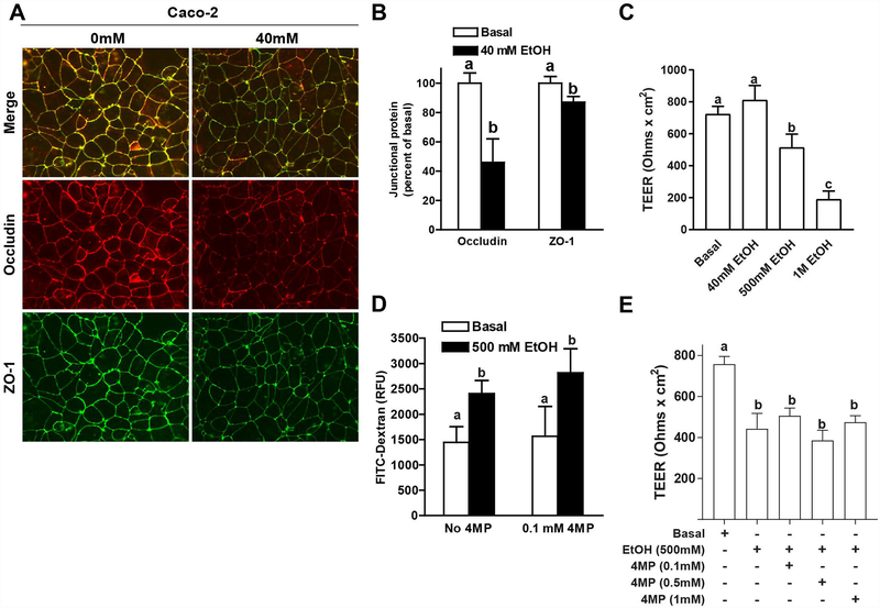 Figure 3: