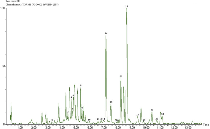 FIGURE 1