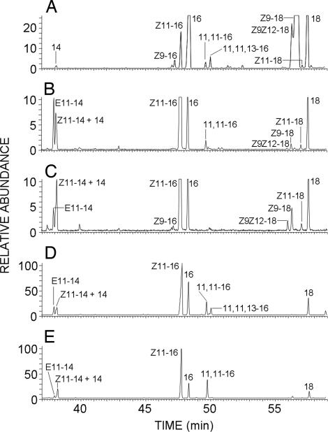 Fig. 5.