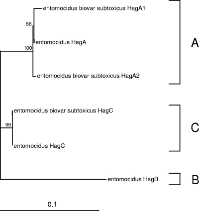 FIG. 5.