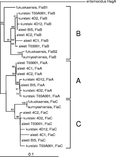 FIG. 4.