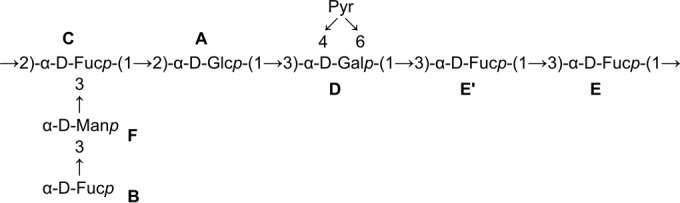 FIG 2