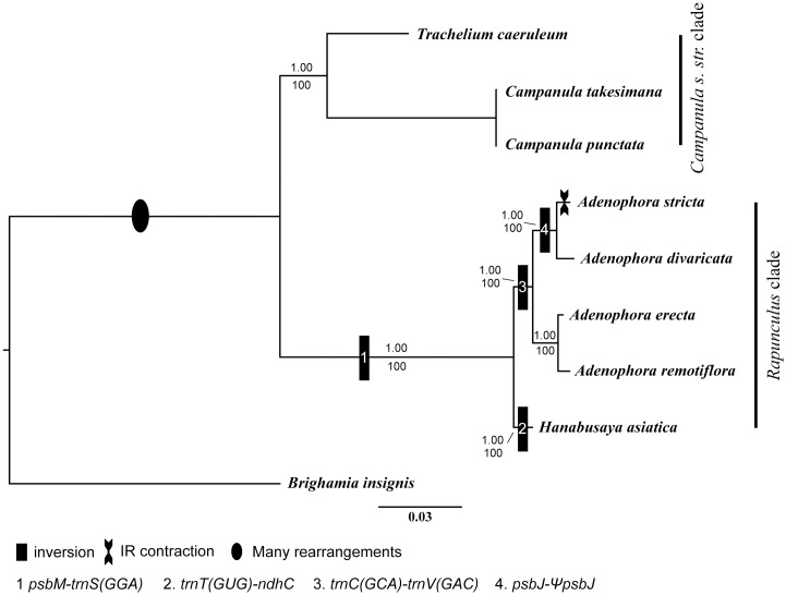 Fig 5