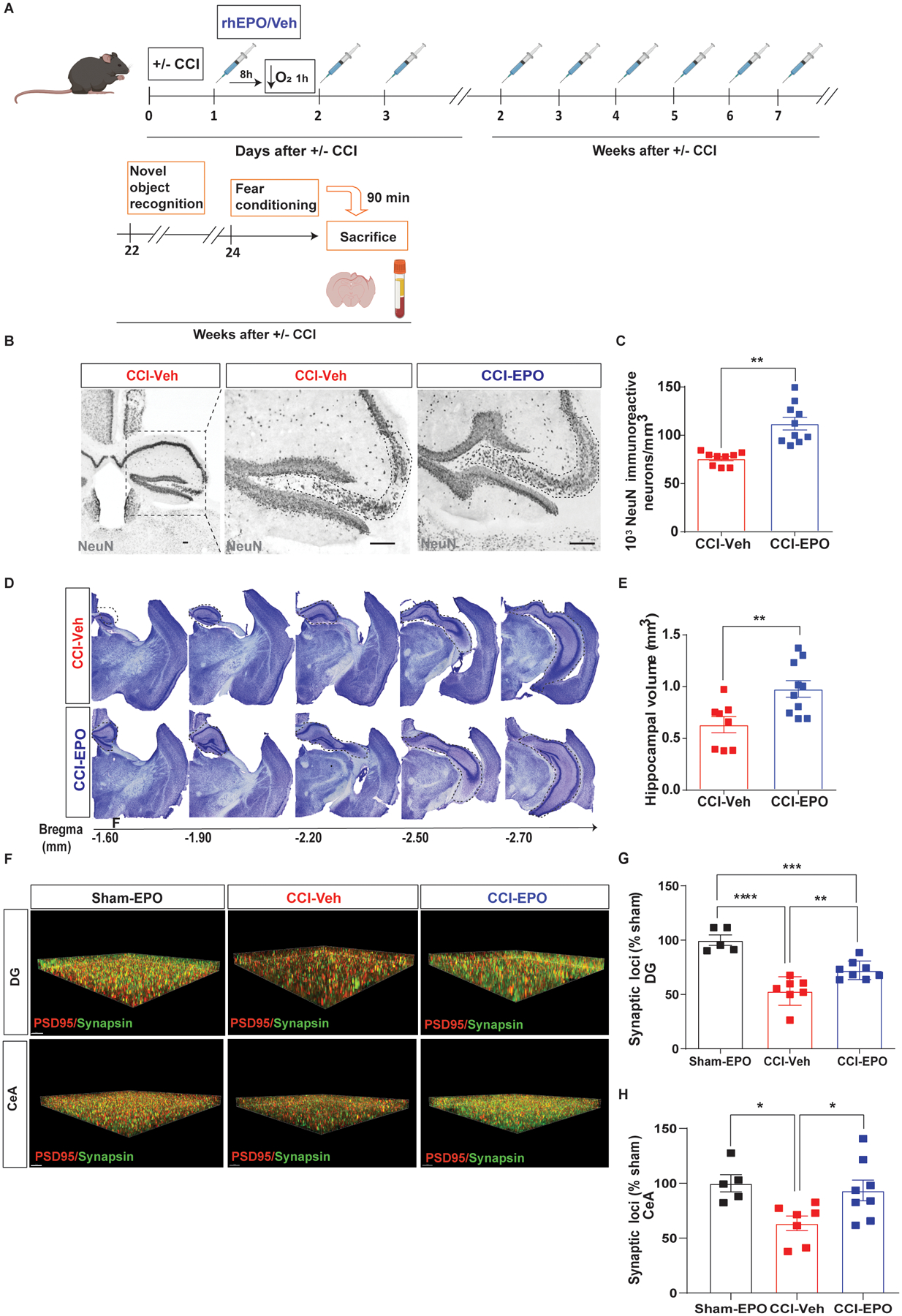 Fig 6.