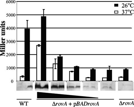 FIG. 9.