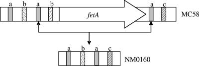 FIG. 2.