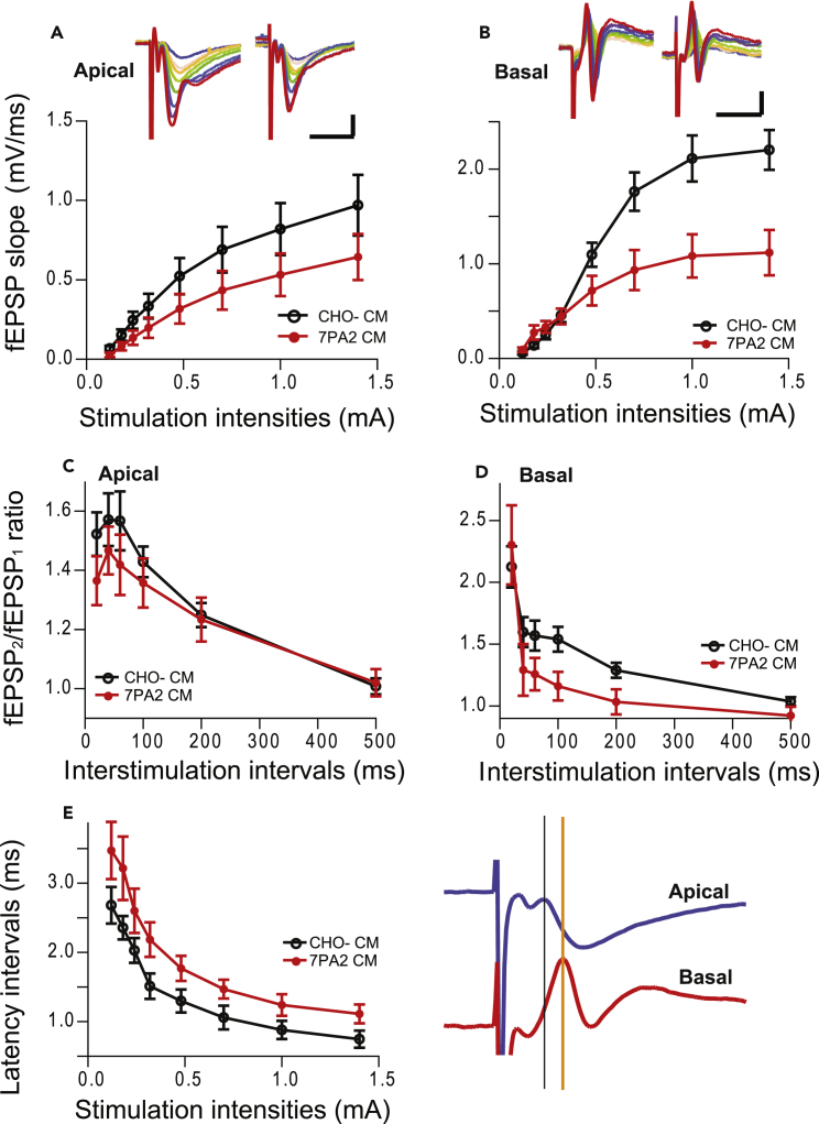 Figure 4