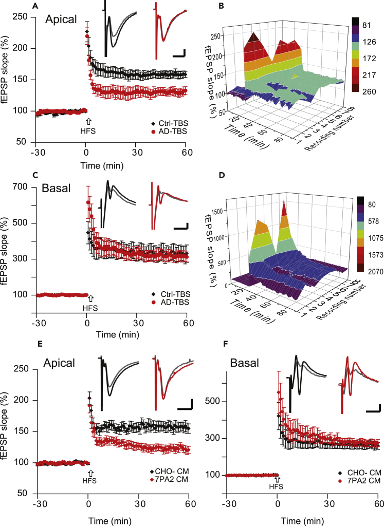 Figure 2