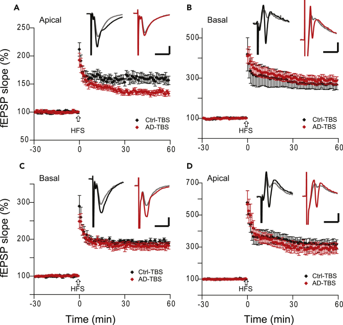 Figure 6