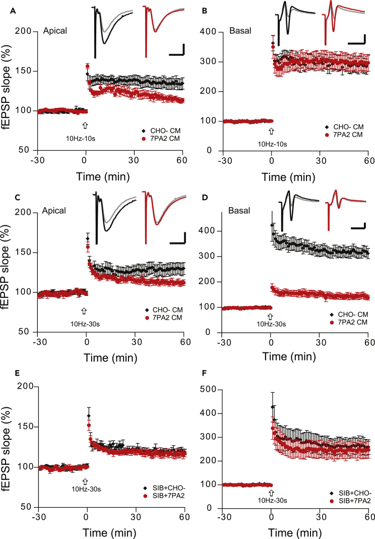 Figure 5